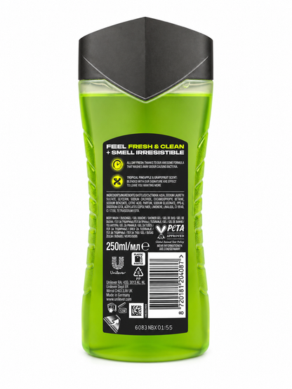 AXE Epic Fresh 250ml